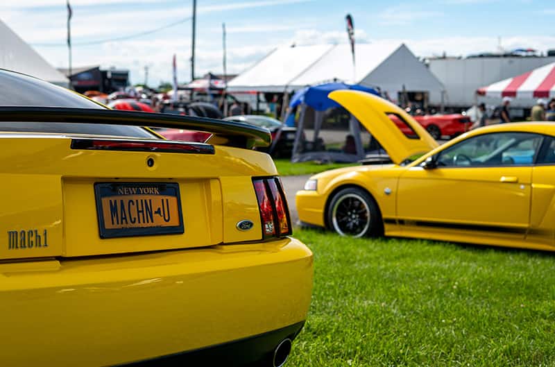 Rear end of Yellow 2003 Mach 1 with another in background
